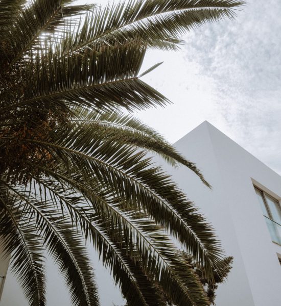 Mallorca_Balearic-Islands-2024-31